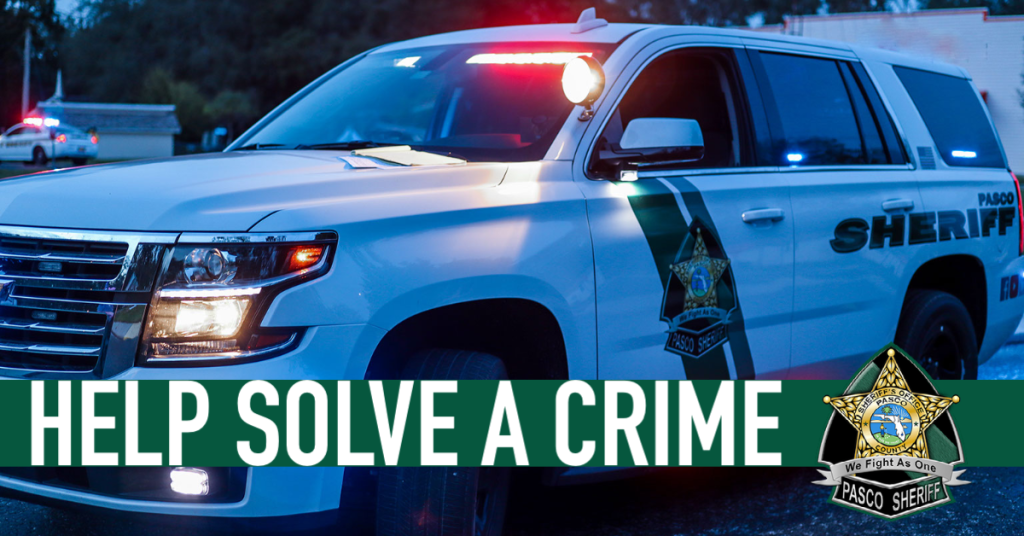 Help Solve a Crime