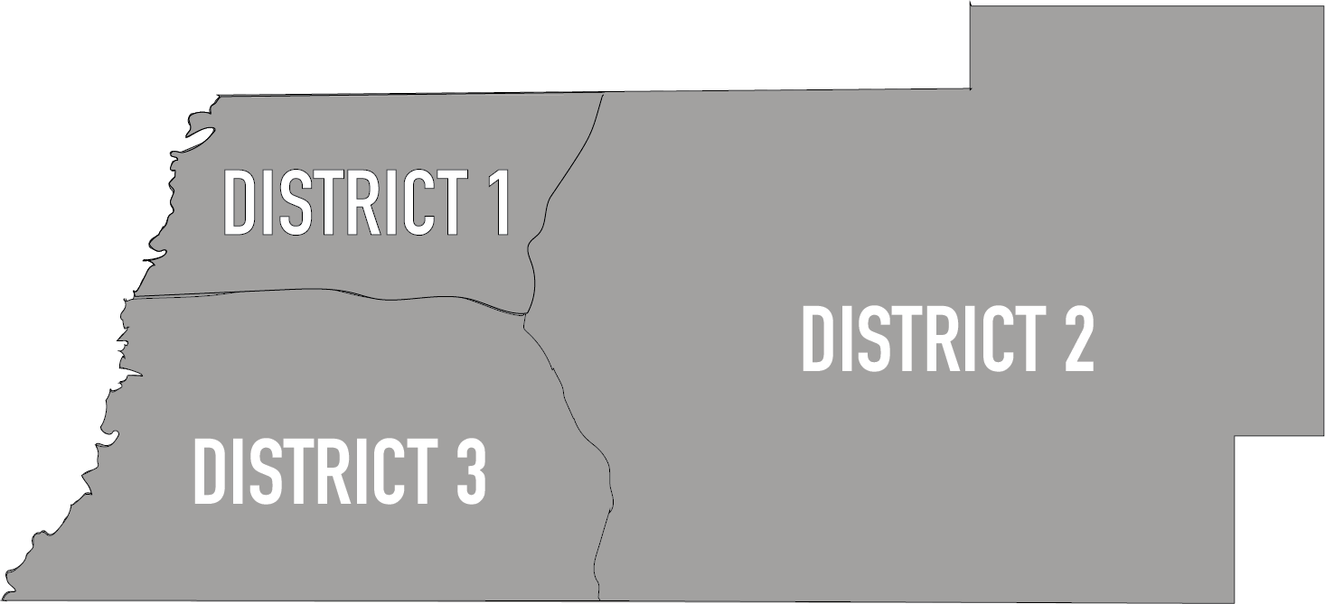 District Map Gray